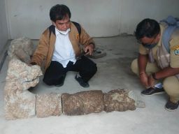 Warga Tulungagung Temukan Arca Naga di Lokasi Temuan Situs Dwarapala