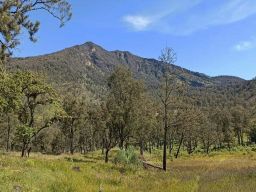 Jalur Pendakian Arjuno-Welirang Kembali Dibuka, Catat Ketentuan Barunya