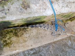 5 Berita Trending Pekan ini, Nomor 3 Bikin Khawatir