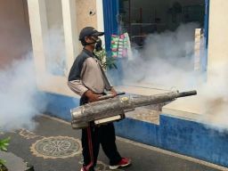 Triwulan Pertama 2022, Demam Berdarah di Kota Malang Meningkat