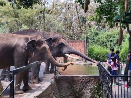 Baru 2 Bulan, Realisasi Pajak Sektor Hiburan di Kota Batu di Atas 10 Persen