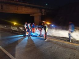 Orang Tak Dikenal Tewas Saat Menyeberang di Tol Pasuruan, Diduga ODGJ