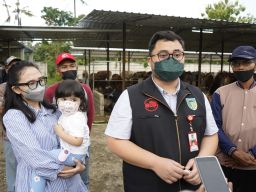 Mas Dhito Ajak Buah Hati Monitoring Program Pengembangan Korporasi Sapi