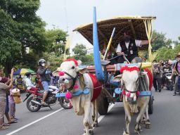 Momen Mas Dhito Kendalikan Cikar di Hari Jadi ke-1218 Kabupaten Kediri