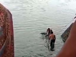 Viral Motor Tercebur Telaga Ngebel Ponorogo, Pengendara Hanya Basah Kuyup