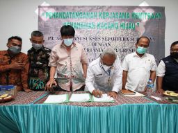 PT Agro Tani Sukses Sejahtera Bawa Kabar Baik untuk Petani Kacang Hijau Gresik