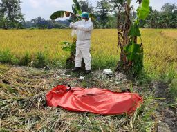 Hendak Panen Padi, Petani di Pasuruan Temukan Mayat Pria