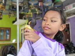 Cerita Unik Pertemanan 'Sincan' dan Balqis di Mojokerto