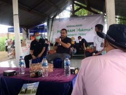 Kementerian BUMN Jamin Kesejahteraan Petani Tebu Sidoarjo Melalui Program Makmur