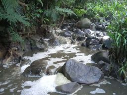 Warga Blitar Menangi Gugatan Class Action Terhadap PT Greensfields