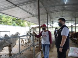 Mas Dhito Apresiasi Keberhasilan Kelompok Tani Mengolah Limbah Sapi