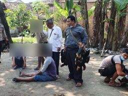 Arena Judi Sabung Ayam di Rejosopinggir, Jombang Digerebek Polisi