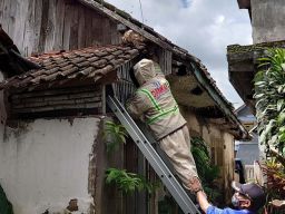 Ketika Damkar Malang Lebih Banyak Evakuasi Sarang Tawon Ketimbang Padamkan Api