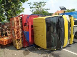 Truk Pengangkut Terguling di Jombang, Ratusan Ayam Berhamburan