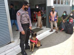 Amankah Arus Mudik di Stasiun dan Terminal, Polres Malang Turunkan Anjing K9