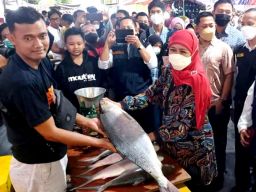 Beli Bandeng Jumbo Seberat 7,5 Kg di Gresik, Khofifah Rogoh Rp5,625 Juta