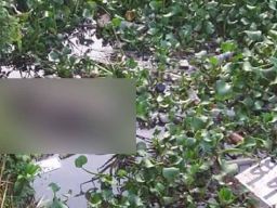 Warga Gedangan Digegerkan Bau Busuk, Dikira Sampah Ternyata Mayat