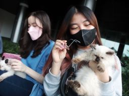 Pet Lovers, Ini Tips Mengajak Hewan Peliharaan saat Mudik Lebaran