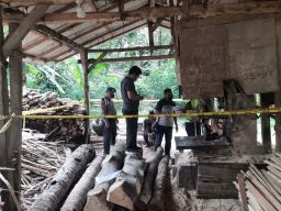 Pemuda di Banyuwangi Tewas Tersambar Gergaji Mesin, Diduga Bunuh Diri
