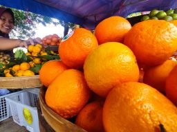 Hari Pertama Puasa Ramadan, Penjual Buah di Sampang Menjamur