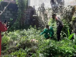 Geger Jenazah Wanita Tanpa Busana di Probolinggo