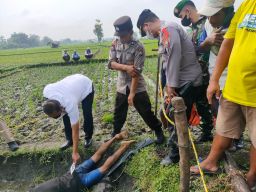 Samiran Asal Ngawi Ditemukan Tewas di Sawah, Kepalanya Masuk ke Lumpur