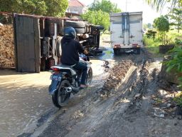 Gagal Lintasi Jalanan Rusak di Sukodadi Lamongan, Truk Muatan Kayu Terguling