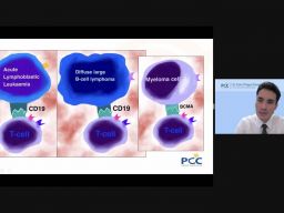 Mengenal Terapi Sel T CAR, Pengobatan Kanker Darah Terkini dan Paling Modern