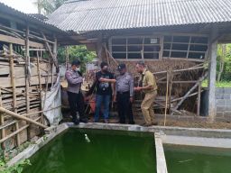 Pamit Ambil Mainan, Balita 2 Tahun di Tulungagung Tewas Tercebur Kolam Ikan