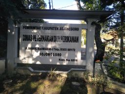 232 Ekor Sapi Terpapar PMK, Jual Beli Hewan di Bojonegoro Dihentikan 14 Hari