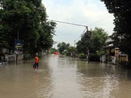 Bocah 6 Tahun di Gresik Digigit Ular saat Bermain Air Banjir Rob