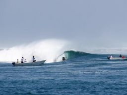 Wow! Liga Selancar Paling Bergengsi Dunia Digelar di Banyuwangi Akhir Bulan ini