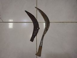 Sempat Acungkan Celurit, Pelaku Pembunuhan di Probolinggo Ditembak Polisi