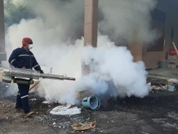 Kasus Demam Berdarah di Kota Probolinggo Meningkat, 3 Pasien Meninggal