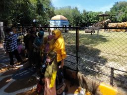 Tetap Jadi Favorit, Pengunjung KBS saat Libur Lebaran Diprediksi Capai 15.000