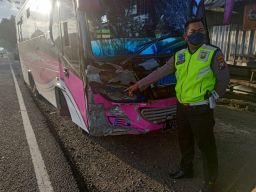 Bus Tabrak Tossa Pengangkut Buruh Tani di Lamongan, 7 Orang Terluka