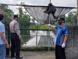 Pamit Jalan-jalan, Lansia di Tulungagung Tewas di Kolam Ikan