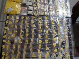 Nekat Edarkan Obat Keras, 2 Pemuda di Probolinggo Dibekuk Polisi