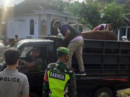 DKPP Kabupaten Kediri Dirikan 8 Pos Check Point Hewan Ternak di Perbatasan