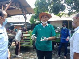 Warga Kota Kediri Bisa Lapor ke Nomor ini Bila Hewan Ternaknya Bergejala PMK