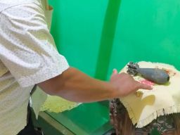 Cerita saat Mortir Ditemukan di Surabaya: Penemu Takut, Warga Dilarang Mendekat