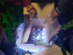 Warga Krian Temukan 70 Ribu Butir Pil Dobel L di Lahan Kosong Desa Tempel