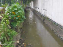 Hasil Lab Keluar, DLH Jombang Pastikan Air di Saluran Gatsu Tercemar Limbah
