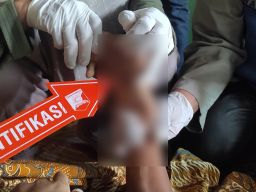 Pulang dari Sawah, Orang Tua di Ponorogo Temukan Anaknya Tewas Tersengat Listrik