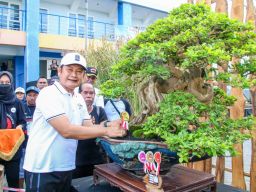 Mejeng di Festival Bonsai Lamongan, Begini Penampakan Tanaman Seharga Supercar