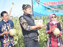 Meski Terkendala Cuaca, Petani Melon Lamongan Raup Untung Rp27 Juta/Ha