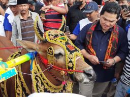 Nonton Karapan Sapi di Bangkalan, Erick Thohir Diminta Datangkan Vaksin PMK