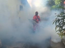 Waspada! Kasus DBD di Jombang Meningkat, Sudah Tembus 86 Kasus