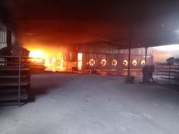 Pabrik Pembuat Wadah Telur di Mojokerto Terbakar