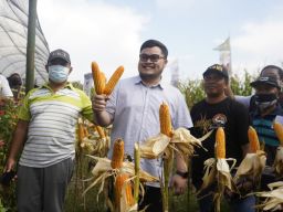 Mas Dhito Dorong Petani di Kediri Tingkatkan Nilai Jual